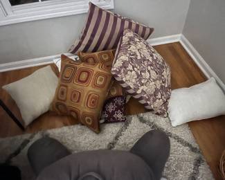 Throw Pillows and Linens 