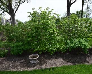 1095Back Yard
