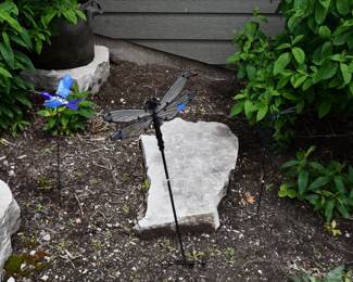 1131Back Yard