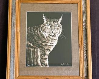 Joseph Robertson Signed Scratchboard Print Lynx Bobcat Wildlife Art Framed 2005