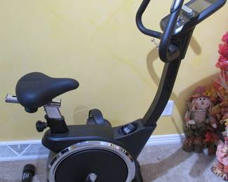 Excercise Bike