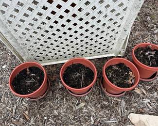 Terracotta Plastic Flower Pots with Saucers