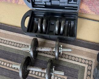 #34 - $60 - Weight set 