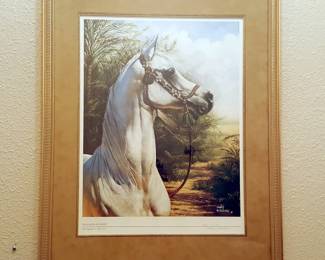 Mary Haggard Framed Print