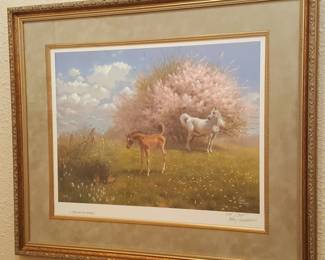 Mary Haggard Framed Print