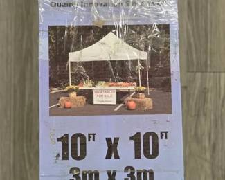 King Canopy 10 x 10 Instant Pop Up Tent