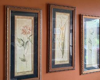 Uttermost "Flower of the Month" Botanical Prints Set of Three