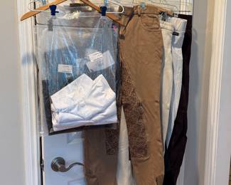 Equestrian pants  