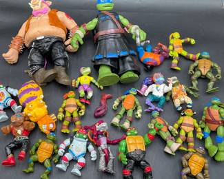 TMNT & MOTU Action Figures