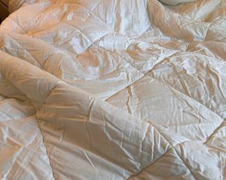 CUDDLE DUDS cozy comforter