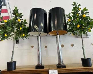 2 Lamps and 2 Lemon Trees