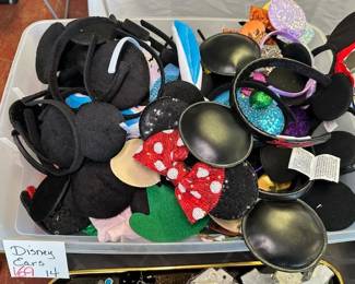 8 Disney Ears
