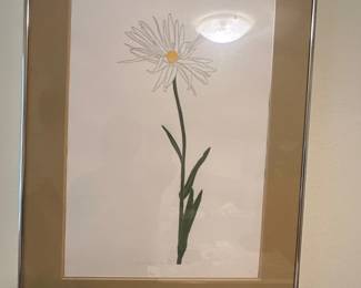 Daisy Botanical Print