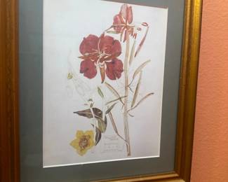 Willow Herb Botanical Print