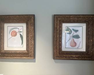 Set of 2 Botanical Fruit Prints