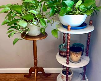 Live plants