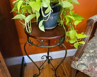 House plant