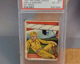 Lot 358: 1933 / 1934 National Chicle Sky Birds Cards