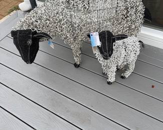 Anthropology Wire Sheep
