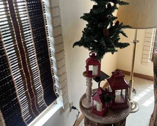 Selection of Christmas tree trees
