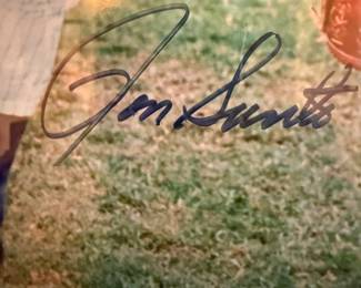 Ron Santo Autograph