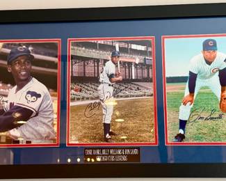 3 in 1 Cubs Presention including Ernie Banks, Billy Williams and Ron Santa all signed photos