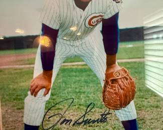 Ron Santo