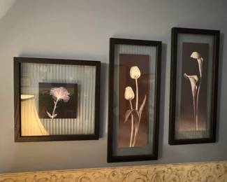 Set of Three Framed Botanical XRay Prints