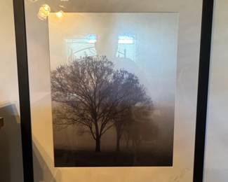 Richard Calvo Awakening Black and White Tree Landscape Photograph