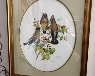 Cedar Waxwing Print by A. Whitlock