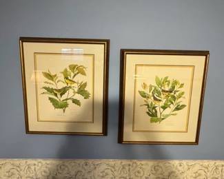Pair of Framed Botanical Bird Prints  Goldenwinged Warbler and Cape May Warbler