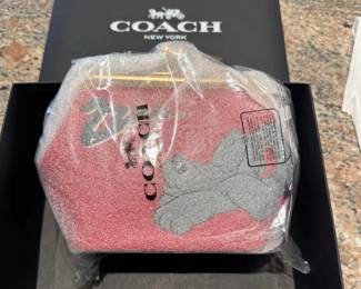 Coach Pluto Kiss Lock Purse
