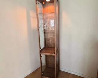 Wood Glass Curio Cabinet with Lighted Top