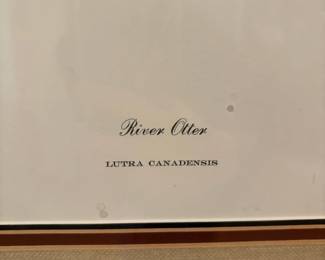 Richard Timm River Otter Signed Limited Edition Print fourth image