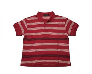 Burberrys Striped Polo Shirt