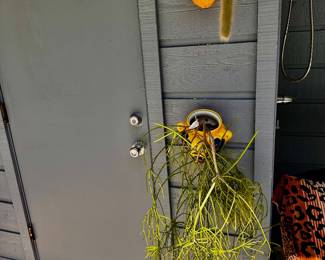 Monkey Tail Cactus Red Flowers.     Ripsalis Succulent annd planter and planter.    
