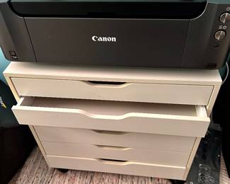 IKEA Cabinet.              Cannon Pixma Pro 10  inkjet Printer 