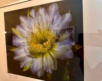 Queen of the Nile photo signed