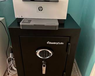 Sentry Safe.        HP Laser Het Copier