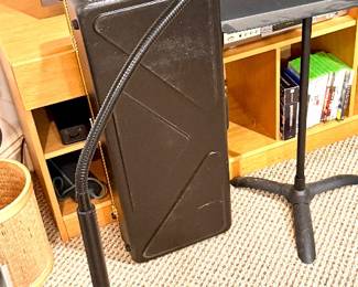 Flexible Gooseneck Floor Lamp