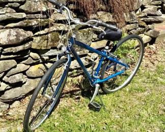 ‘Giant Cypress St’ Bike