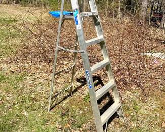 Werner 6’ - Aluminum Ladder