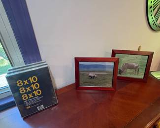 Serengeti Photography 
