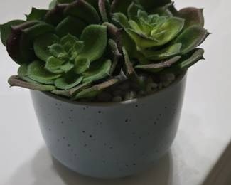 Artificial Succulent Plant in Speckled Ceramic Pot