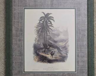 Plate Mountain Cabbage Trees, Scene in the Blue Mountains by J.B. Kidd