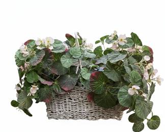 Woven Wicker Planter with Begonias