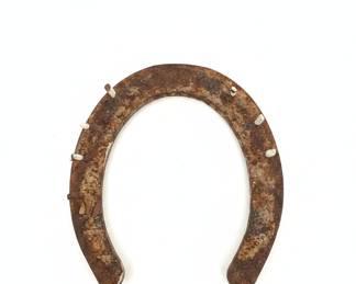 Rusted Horseshoe