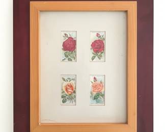 Wills' Cigarettes Rose Series Framed Print Set