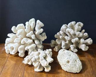 271 fourdecorativenaturalcoralspecimens