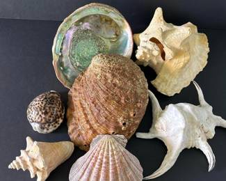 270 collectionofsevenmixeddecorativesea